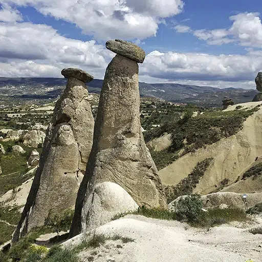 Avcilar e Guvercinlik