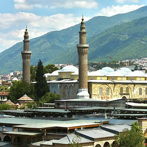 bursa
