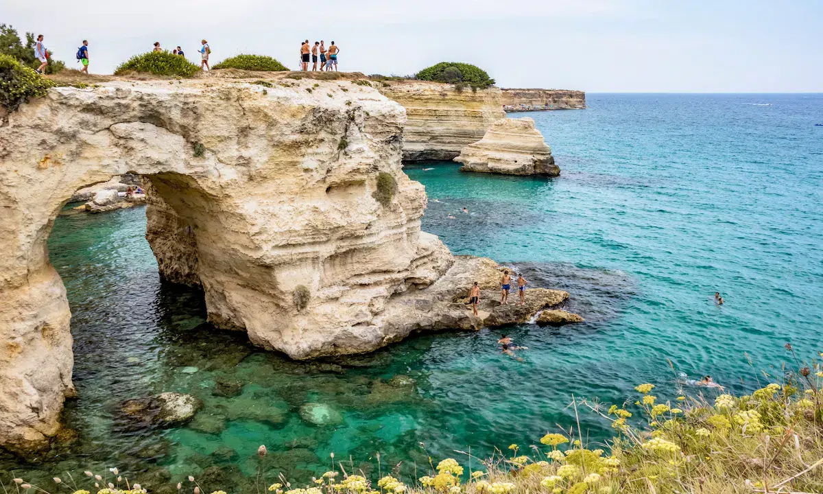 bba82aa2 52fa 47a8 ae1c d90a07270266